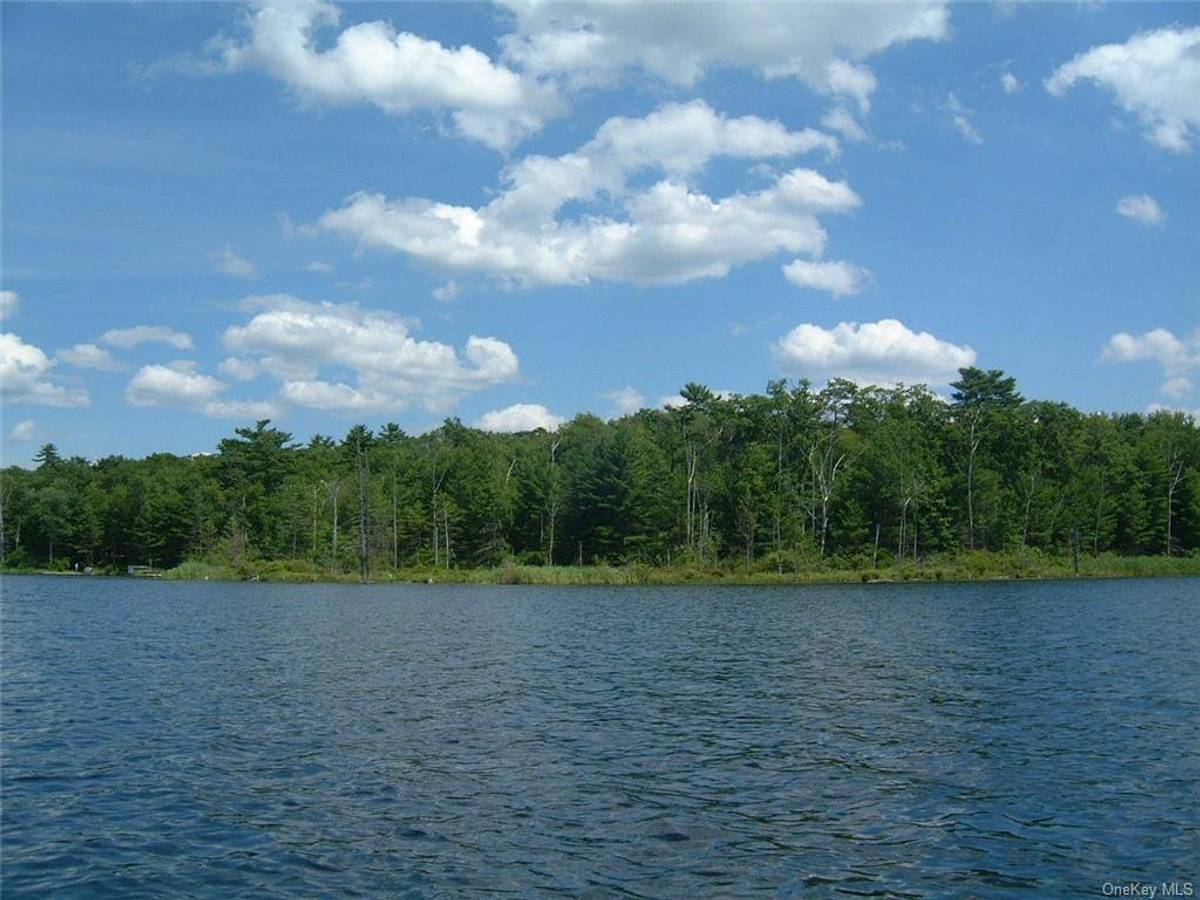 LOT 5.3 York Lake Rd, Barryville, Sullivan County, NY 0 Beds for sale